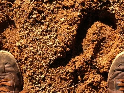 One Minute To Ground