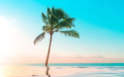 One Minute To Mindfulness