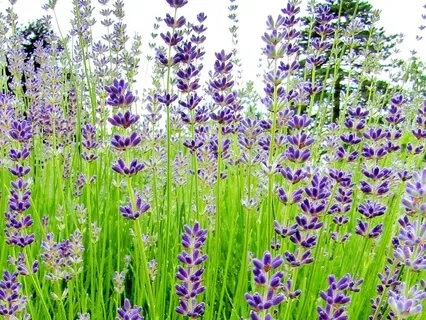 One Moment Of Abundance