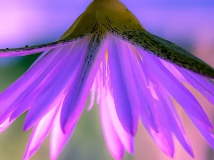 One Moment To Gratitude