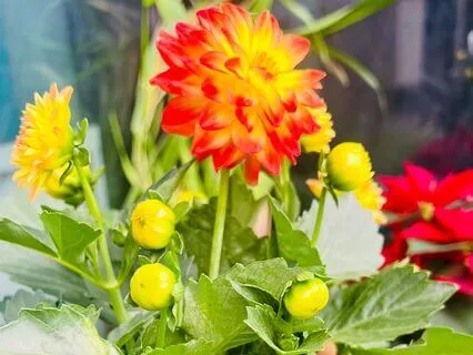 One Seat Meditation-“A Path Of Still Presence”