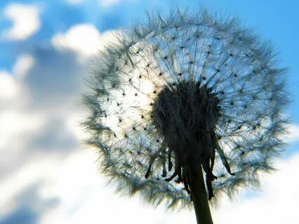 One Tiny Detail: Mindfulness For The Soul