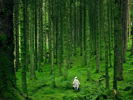 One With Nature Yoga Nidra