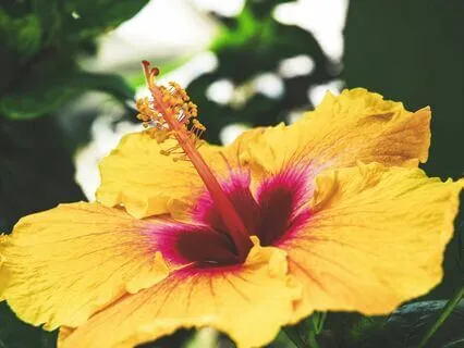 One With Peace - Gentle Meditation