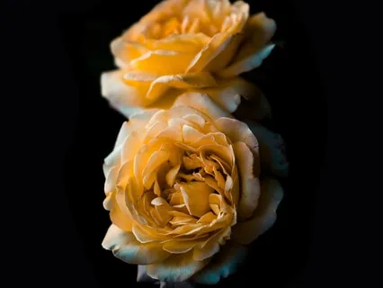 One With Source Love