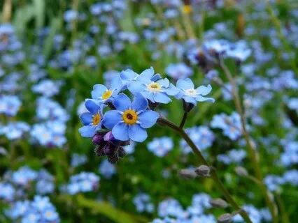 One With The Earth - May 29