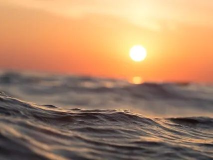 One With The Universe