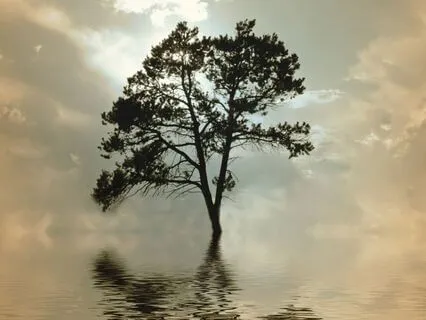 Oneiric Landscape For Inner Peace | Guitar Loops @ 396 Hz