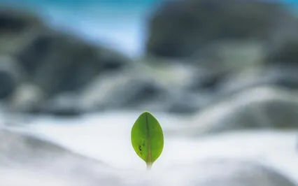 Oneness – Addiction Recovery