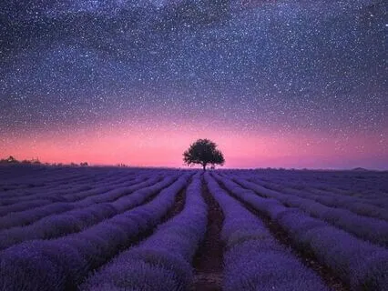 Oneness Affirmations Meditation