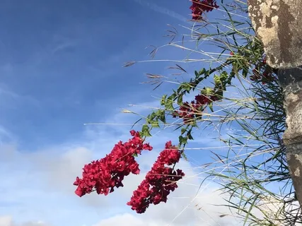 Oneness & Loving-Kindness