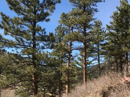 Oneness (Daily Practice)