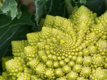 Oneness - Mantra Meditation