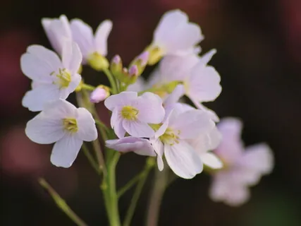 Experience Divine Love & Inner Balance : Oneness Meditation