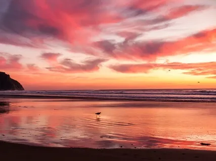 Oneness With The Cosmic Ocean Of Love