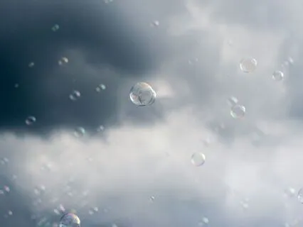 Oneness Within Life's Sacred Living System