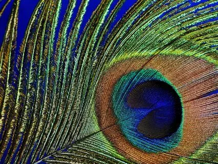 Oneself With New Fresh Eyes