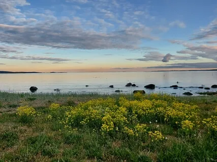 Ong Namo Guru Dev Namo