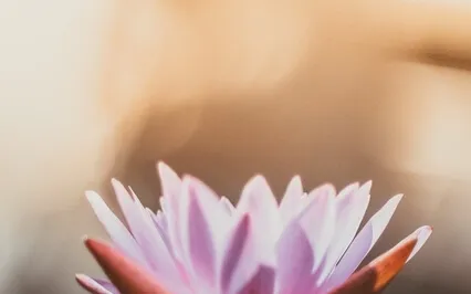 Ong Namo Guru Dev Namo