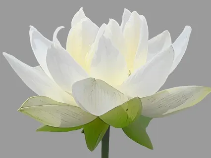 Ong Namo Guru Dev Namo (I Call To The Divine Wisdom Within)