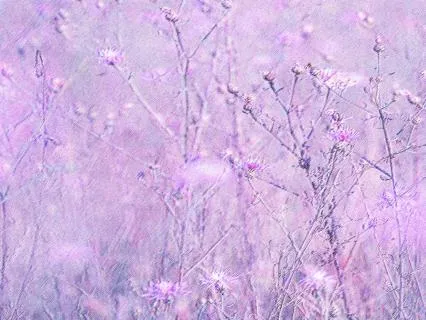 Onirica Atmosfera