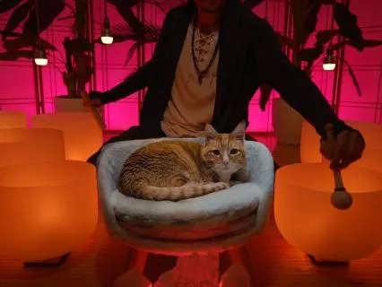 Only For High Cortisol (12 Hour Version)