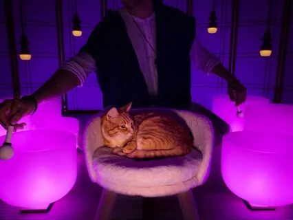 Only For Insomniacs Sound Bath