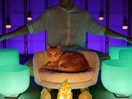 Only For Sleep Addicts