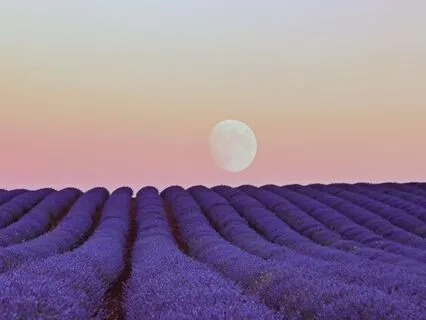 Only Good Things Happen To Me Now | Sleep Affirmations