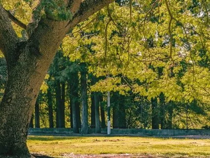 Only Love For You Remains