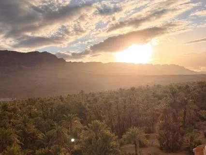 Ontwaken Aan De Voet Van De Palmoase