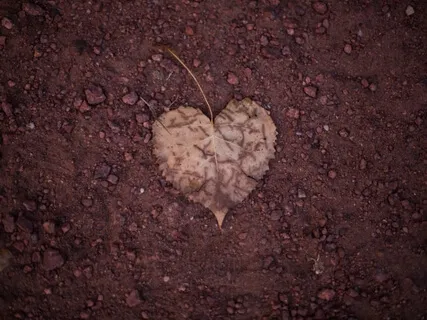 Oops! The Art Of Making Great Mistakes