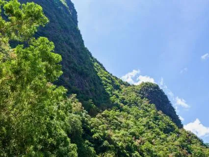 Open Abundance Portal 417, 528, 741, 777, 888 Tuning Forks