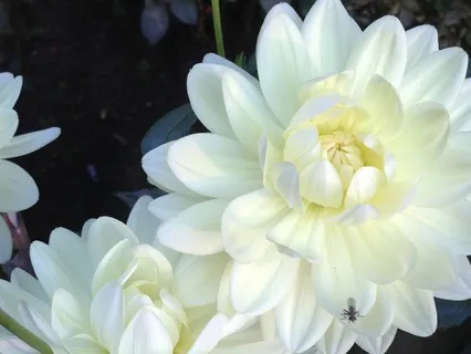 Open And Activate Chakras