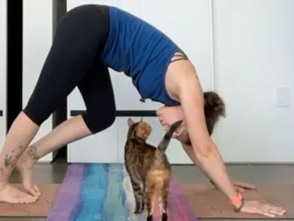 Open And Steady: A Full Body Slow Flow