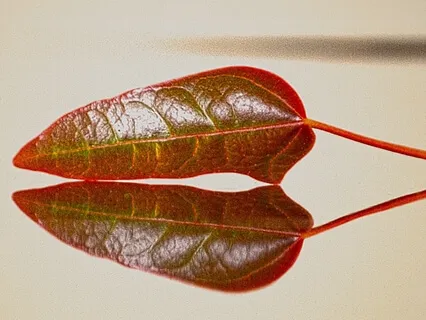 Open & Willing To Be Moved By Life