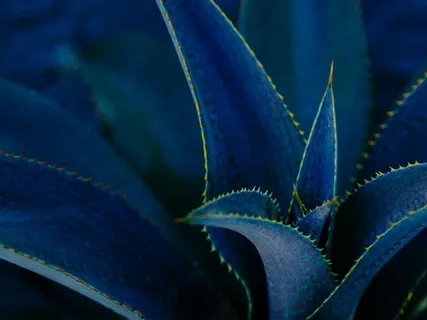 Open Awareness | 11 Minutes