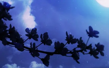 Open Awareness Meditation