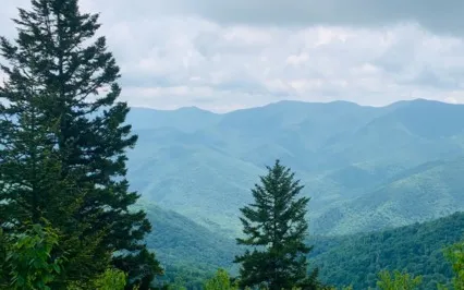 Open Awareness Meditation