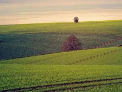 Open Awareness Meditation For Acceptance & Inner Calm