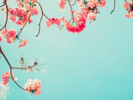 Open Awareness Meditation