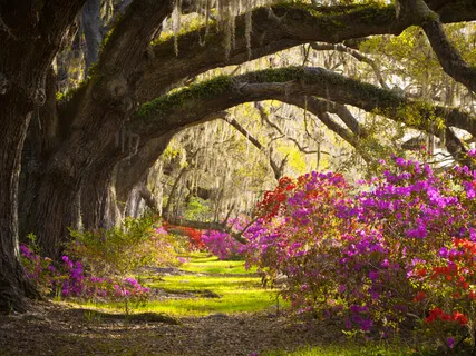 Open Awareness Mindfulness Practice 