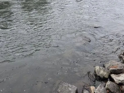 Open Awareness Of This - April 14th At 8:30am