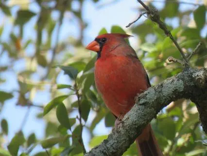 Open Awareness Practice To Calm A Busy Mind