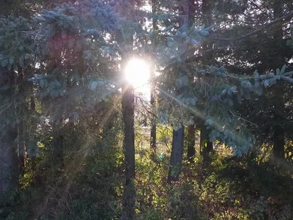 Open Awareness Practice