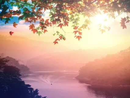 Open Awareness Zazen