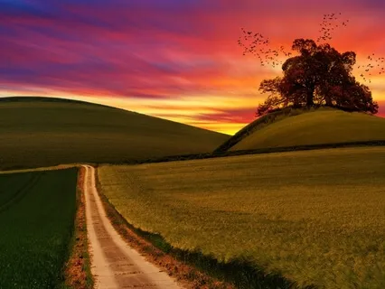 Open Chakras 432Hz Tips From The Universe