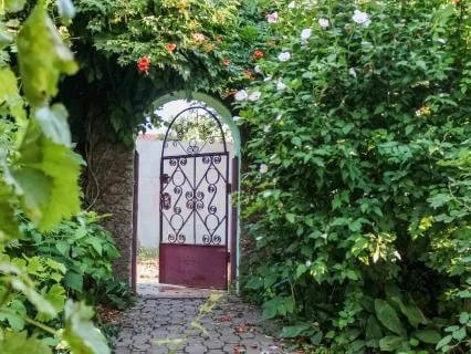 Open Doors To New Opportunities With Tuning Forks (7.83 Hz)