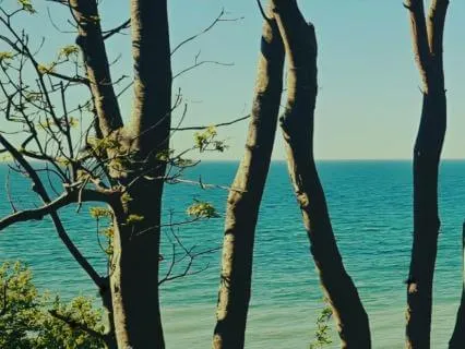 Open Heart - A Gentle Sound Meditation