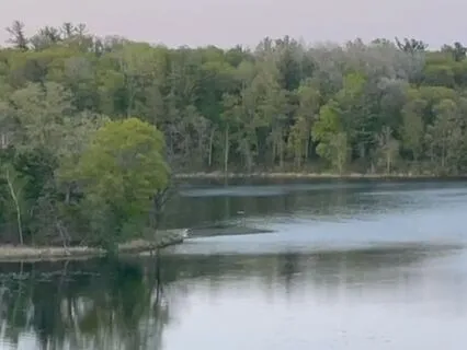 Open Heart Meditation For Our Shared Humanity